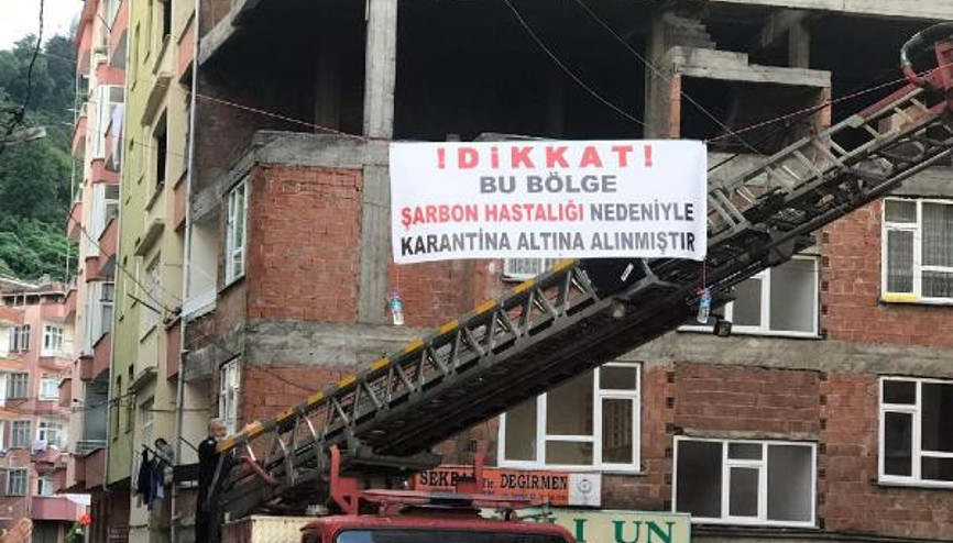 Kesilen büyükbaş şarbonlu çıktı, mahalle karantinaya alındı