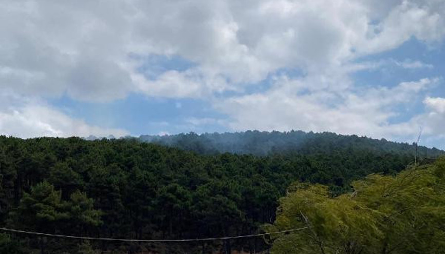 Son dakika... Aydos Ormanında yine yangın