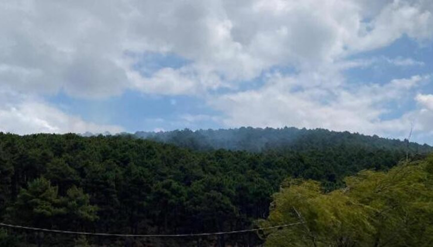 Son dakika... Aydos Ormanında yangın