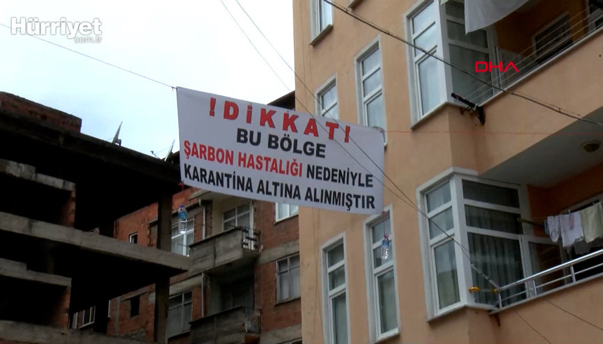 Kesilen büyükbaş şarbonlu çıktı, mahalle karantinaya alındı