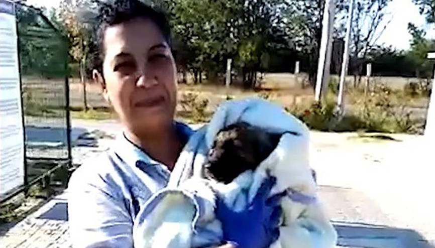 Zifte bulanan yavru köpeği kurtarıp, bakımını yaptılar