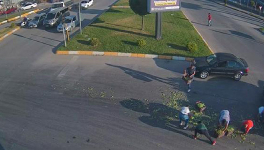Kamyonetten yola savrulan fasulyeleri, sürücüler birlikte topladı