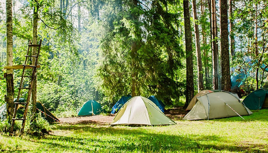 Ilgaz Dağı Milli Parkı içinde Kamp alanları belirleniyor