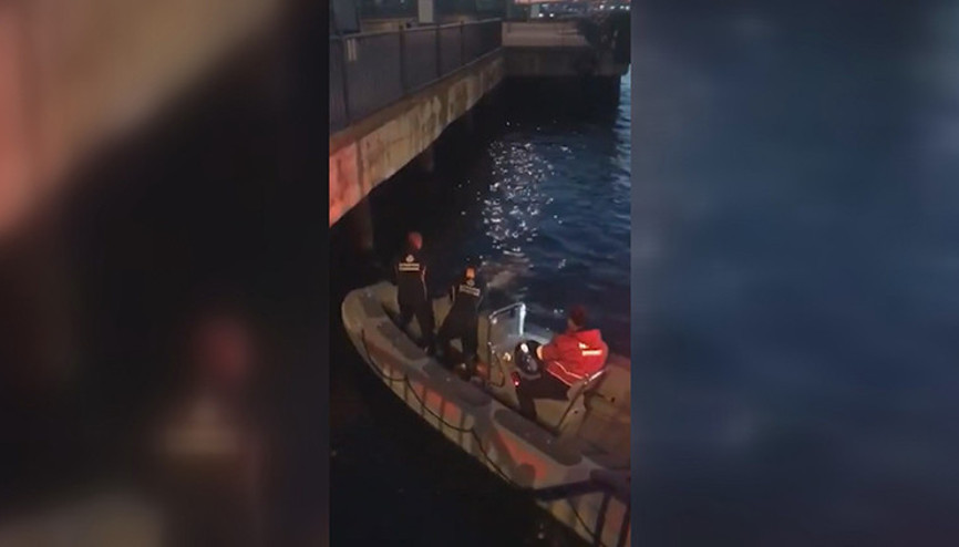 Kadıköyde balıkçı oltasına takılan iki martıyı itfaiye ekipleri kurtardı