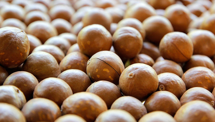 Her derde deva mı yoksa pazarlama aracı mı Nedir bu süpergıda dedikleri Her derde deva mı yoksa pazarlama aracı mı Nedir bu süpergıda dedikleri