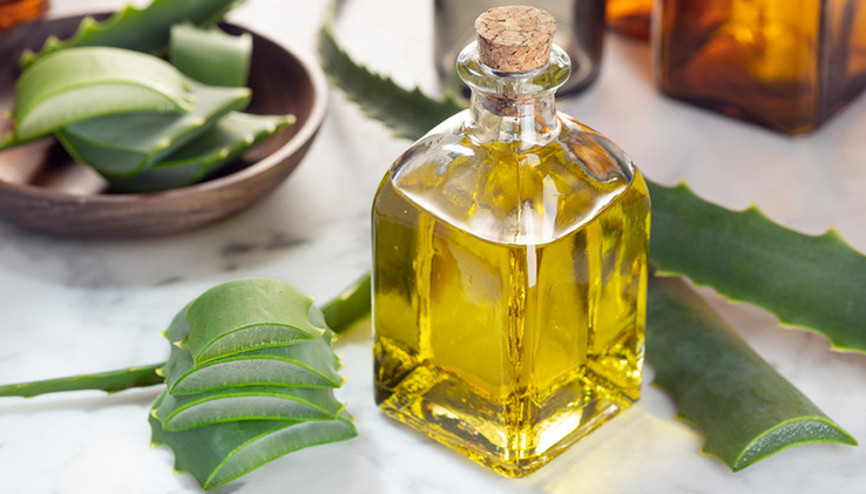 Aloe Vera Yağının Faydaları Neler Ev Yapımı Aloe Vera Yağı Tarifi...
