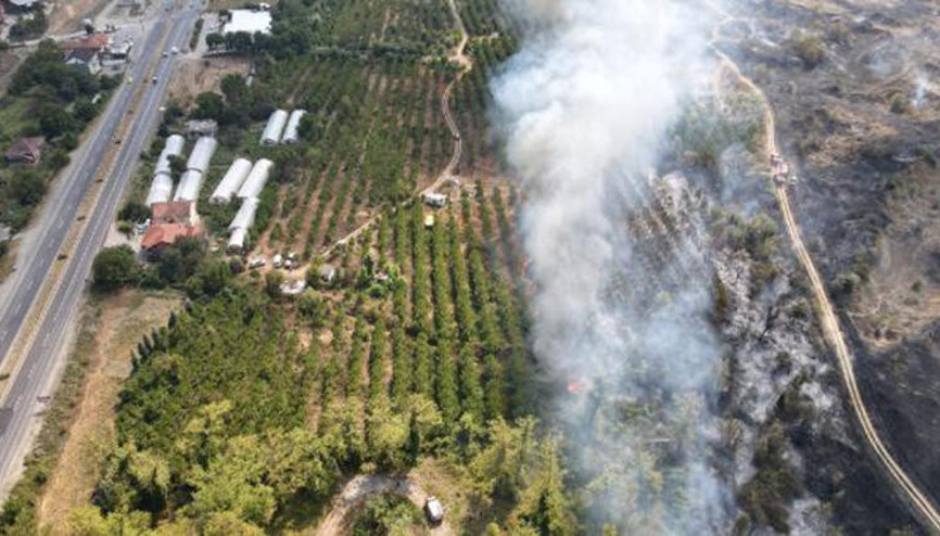 Zonguldakta fıstık çamı ağaçlandırma alanında yangın