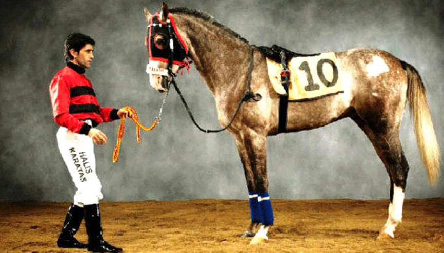 Halis Karataş özür diledi