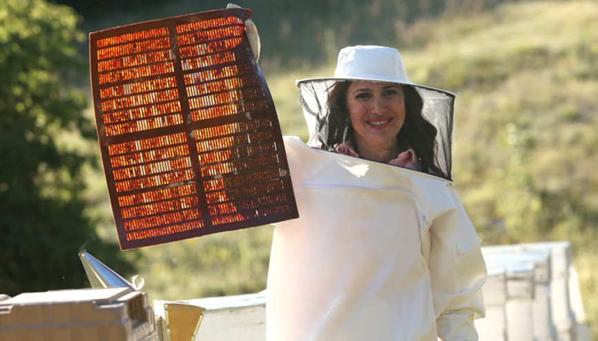 Propolis nasıl özütlenmeli, nasıl tüketilmeli