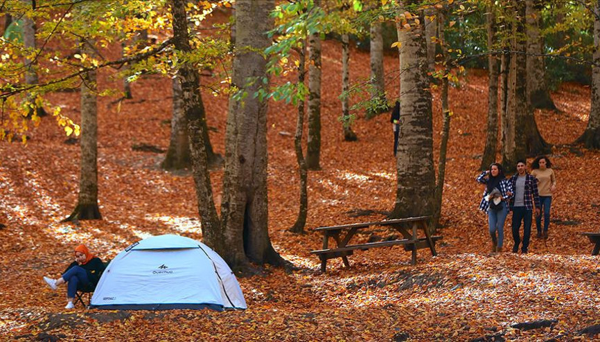 Ilgaz Dağı Milli Parkında kamp alanları belirlenecek