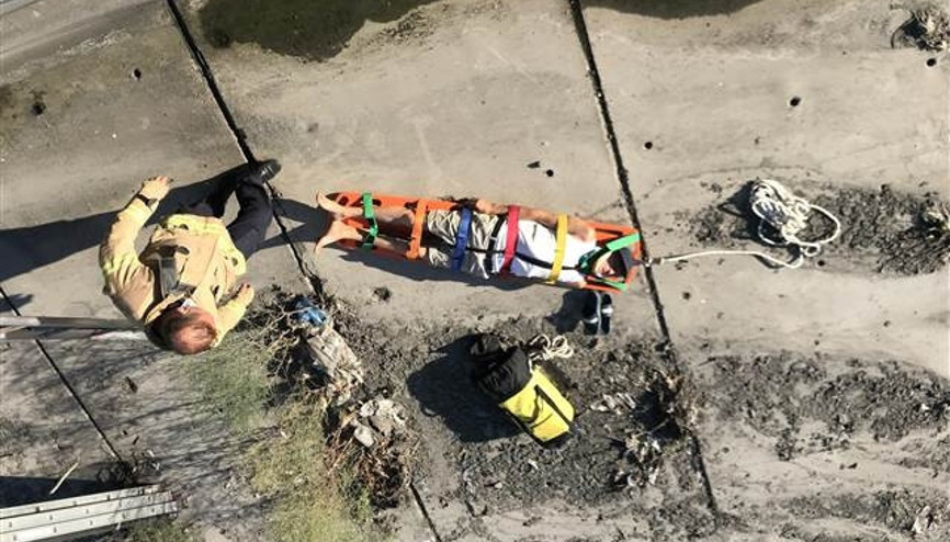 Bakırköy’de ceviz toplamak için ağaca çıkan adam dereye düştü