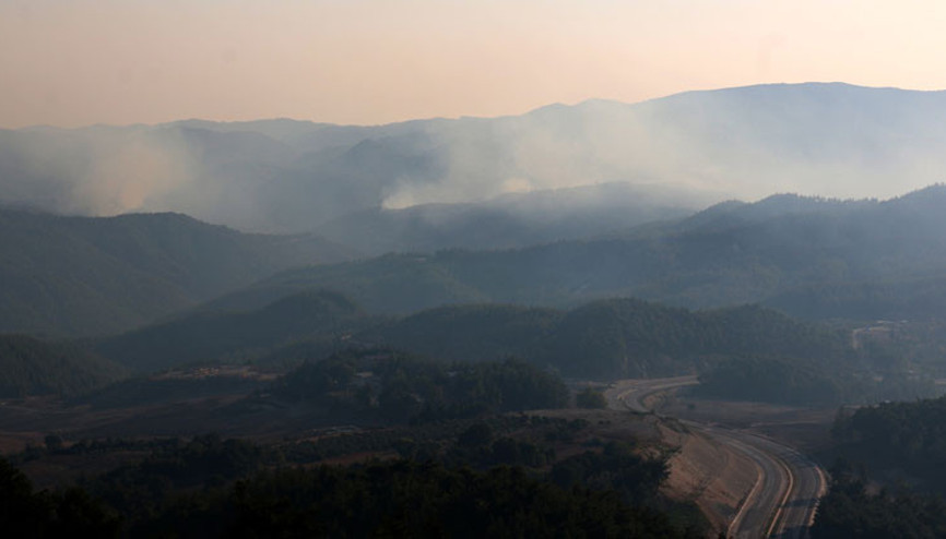 Son dakika haberler... Suriyede başlayan orman yangını Türkiyeye sıçradı