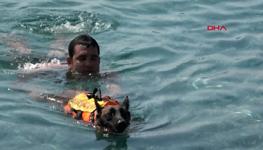 Türkiyenin ilk cankurtaran köpeği Fox