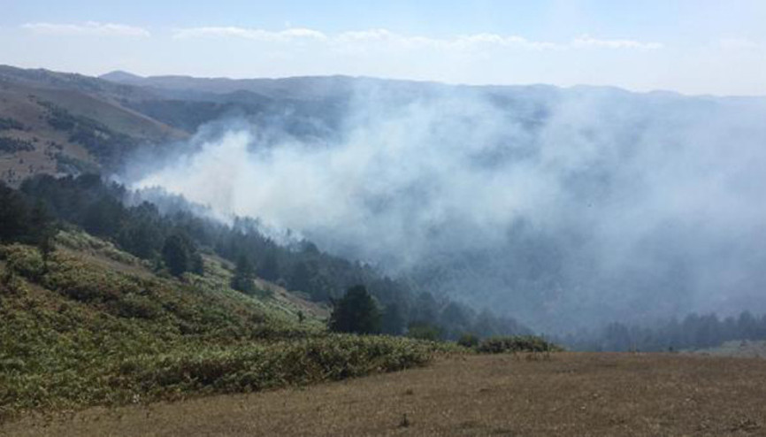 Niksarda ormanlık alanda yangın