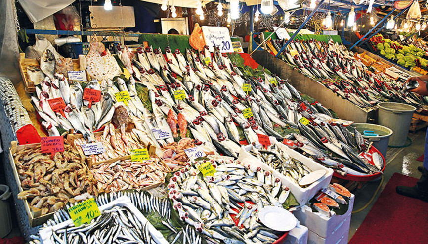 Balık sezonu açıldı... Haydi, rastgele