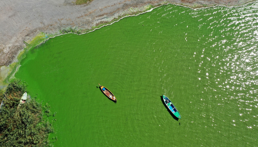 Alg patlaması, Uluabat Gölünü yeşile boyadı