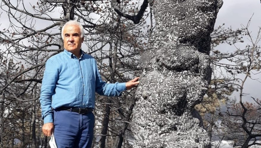 Ormanlarımıza atılan her bir çöp parçası yüzlerce hektarı yok ediyor