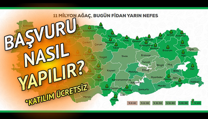 Geleceğe Nefes ağaç ve fidan dikme kampanya katılım belgesi nasıl alınır