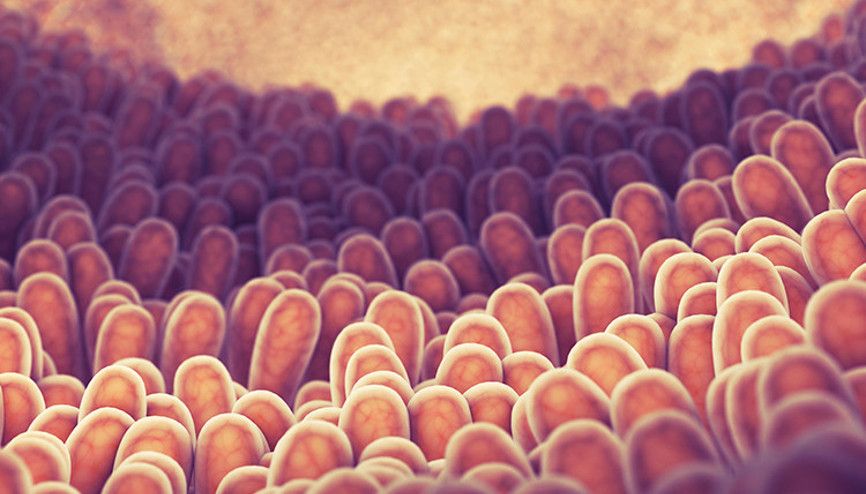 Kolonoskopi ne zaman gereklidir Hangi durumlarda yapılmalıdır