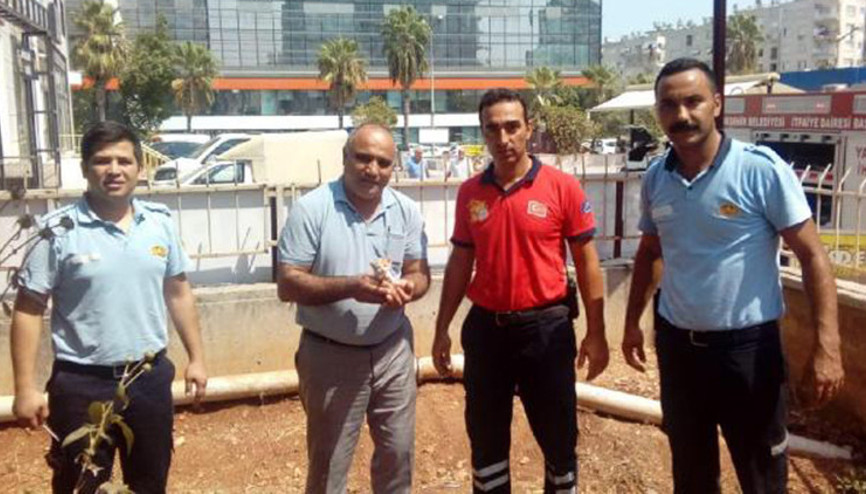 Su gider borusunda mahsur kalan yavru kedi kurtarıldı