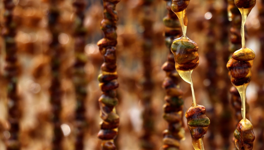 GastroAntep Festivali, fıstık hasadı ve şire yapımı ile başladı