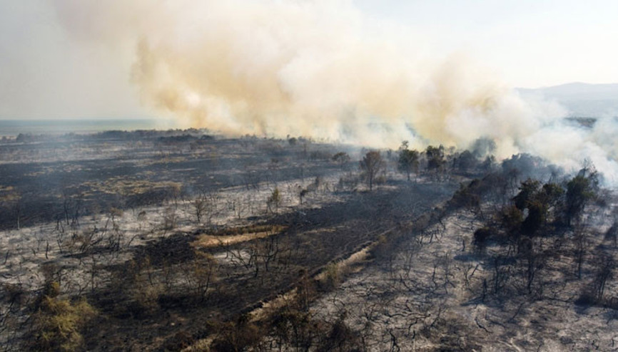 Kızılırmak Deltası Kuş Cennetinde yangın