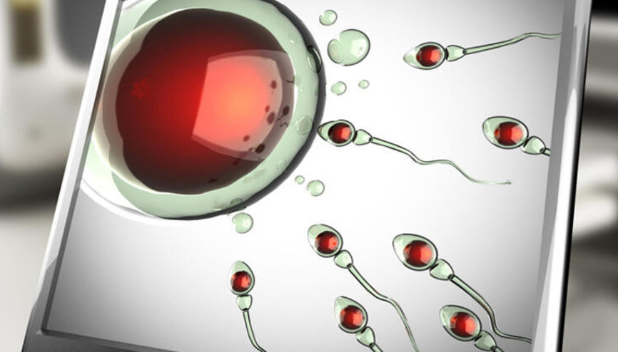 Erkeklere iyi haber... Bu besinlerle sperm kalitesini artırmak mümkün