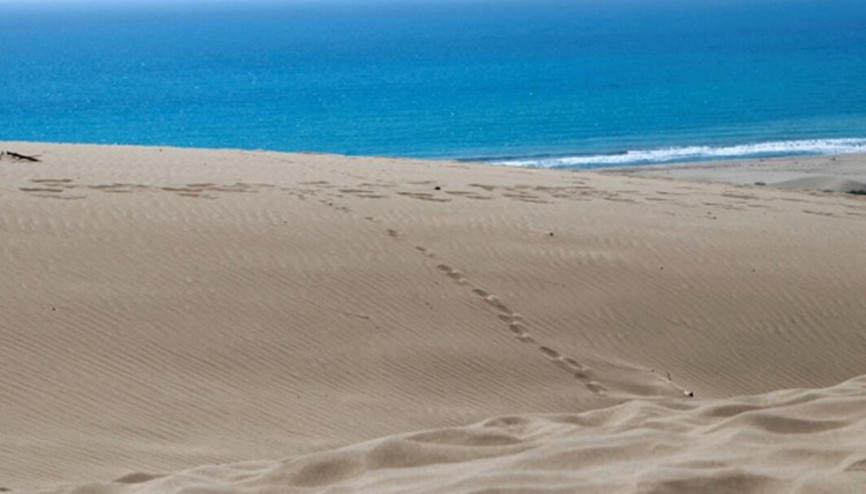 Patara Plajı Nerede Ve Nasıl Gidilir Patara Plajı Özellikleri, Kamp İle Konaklama Detayları Ve Giriş Ücreti (2023)