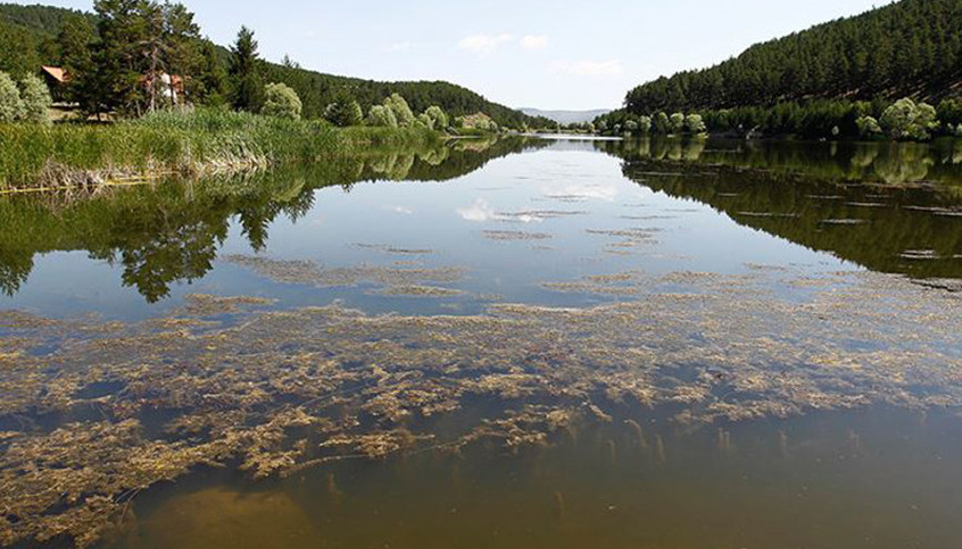 Çamkoru Tabiat Parkı Nerede Ve Nasıl Gidilir Giriş Ücreti Ve Ziyaret Saatleri (2023) Çamkoru Tabiat Parkı Nerede Ve Nasıl Gidilir Giriş Ücreti Ve Ziyaret Saatleri (2023)