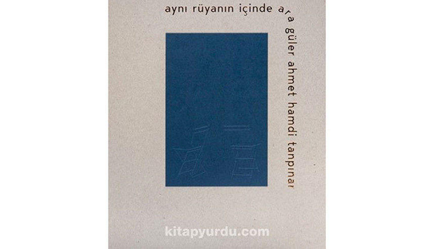 İşte İstanbul: Tanpınar yazdı, Ara Güler çekti