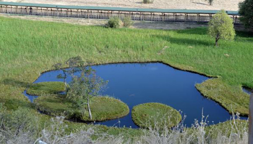 Bingöldeki yüzen adalara ziyaretçi akını