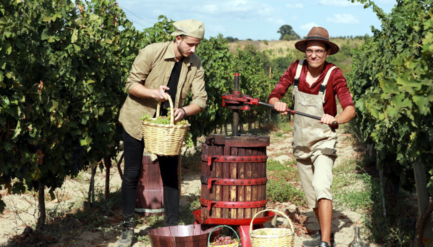 Bağ bozumu telaşı fotoğraf tutkunlarını Trakya bağlarına çekiyor