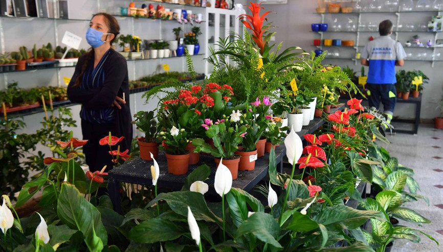 Serada üretiliyor Altınpark’ta satılıyor