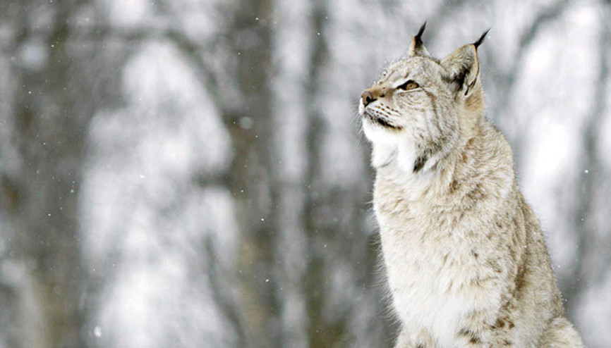 Herkese göre yeni bir program var bu hafta