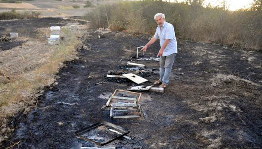 ’Arı kovanlarımı kasıtlı yaktılar’