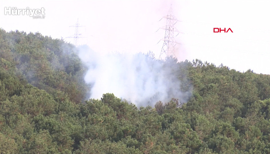 Aydosta orman yangını