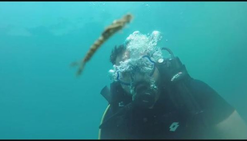 Van Gölünde yeni canlı türü bulundu