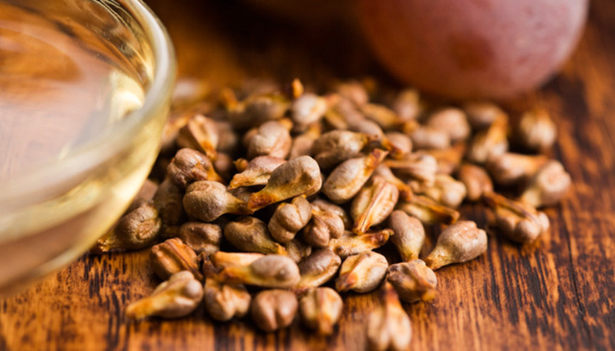 Hepsi şifa deposu... Karaciğeri temizliyorlar