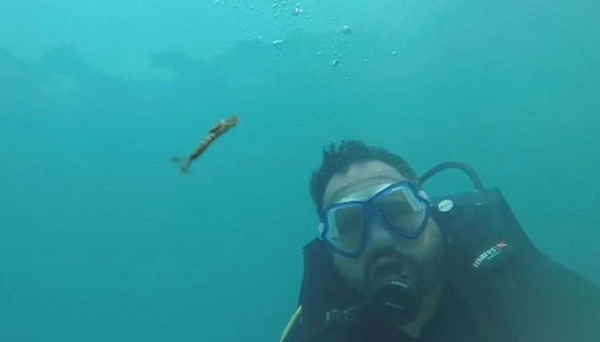 Van Gölünde yeni canlı türü kameralara yansıdı