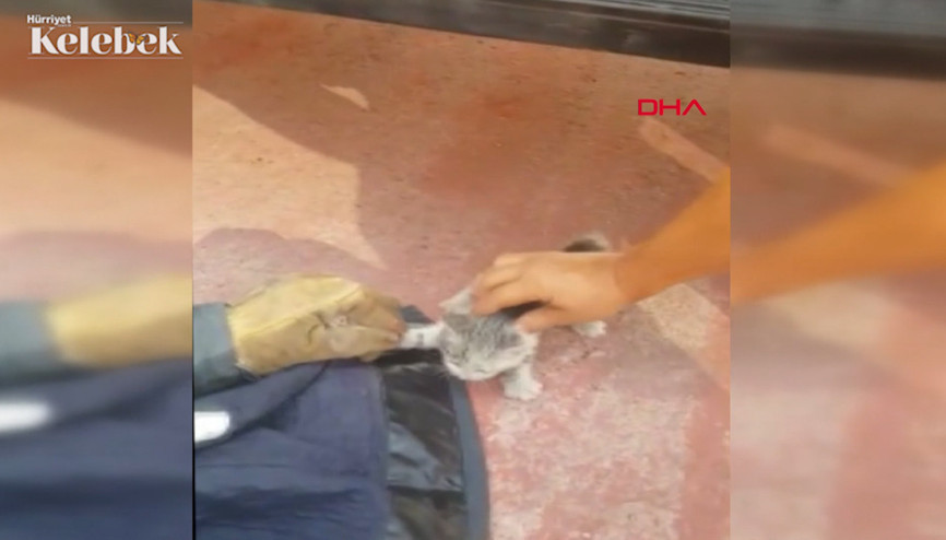 Sümer Ezgünün aracının motoruna giren kediyi, itfaiye kurtardı