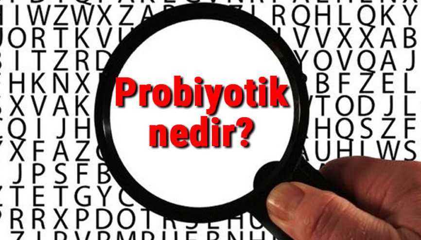 Probiyotik nedir Probiyotik gıdalar ne işe yarar ve faydaları nelerdir