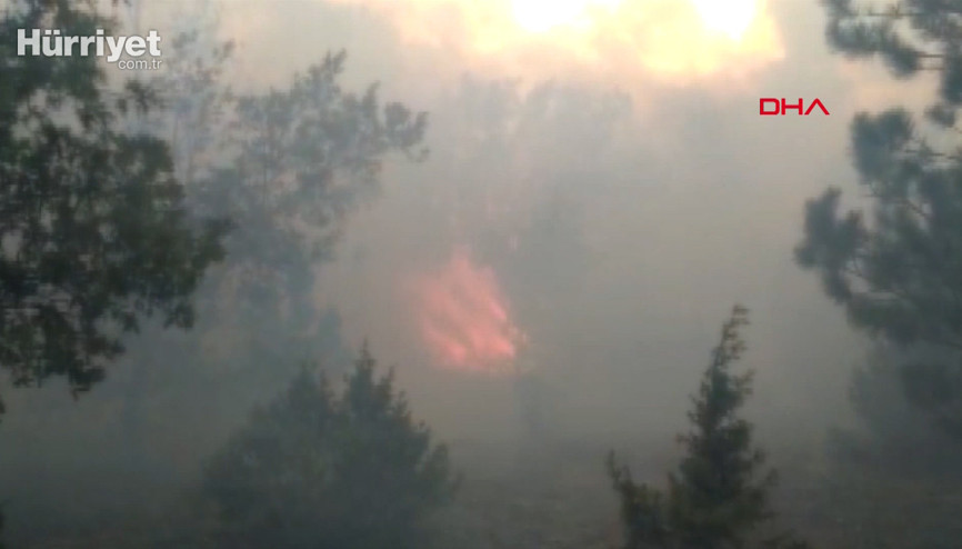Son dakika haber... Kütahyanın Hisarcık ilçesinde orman yangını çıktı