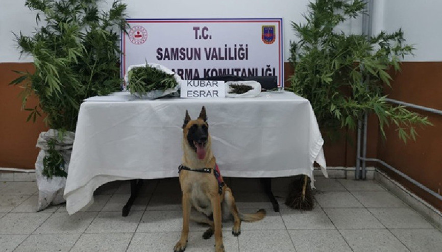 Samsun’da uyuşturucuya geçit yok