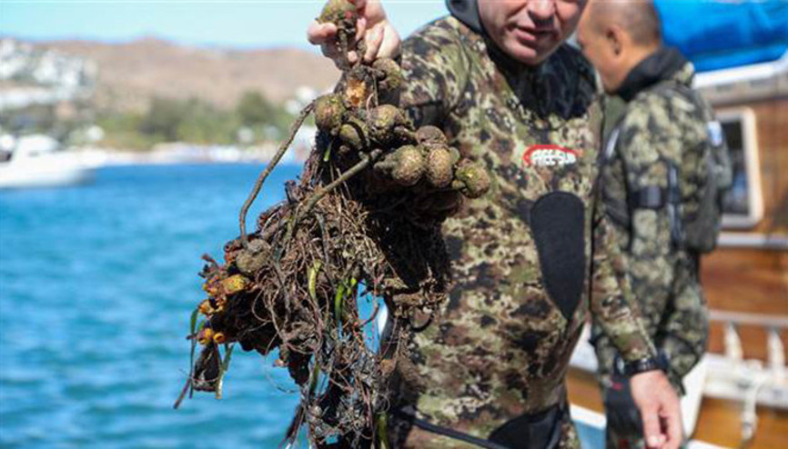 Bodrum’da deniz dibinden 257 kilogram katı atık çıkarıldı