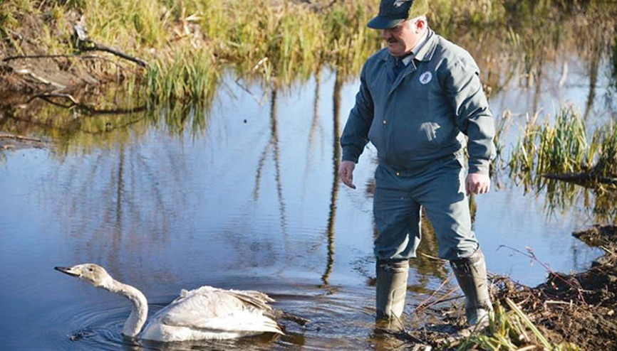 Yaban hayvanları öksüz kaldı