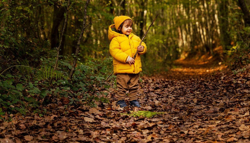 İstanbul’da renklerin canlandığı mevsim... 5 noktada doğayla baş başa İstanbul’da renklerin canlandığı mevsim... 5 noktada doğayla baş başa