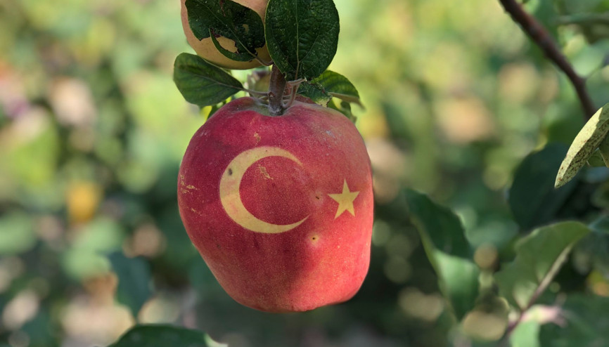 Ay yıldız işlenmiş kırmızı ayvaları görenler gözlerine inanamıyor