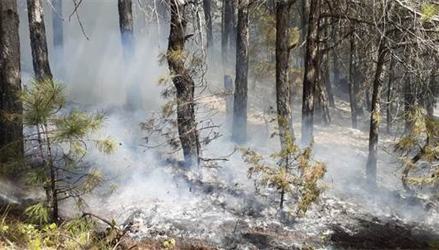 Savaştepe’deki orman yangını büyümeden söndürüldü