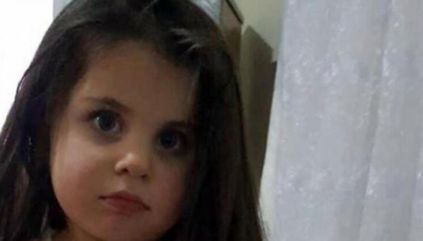 Leyla Aydemir davasında karar çıktı