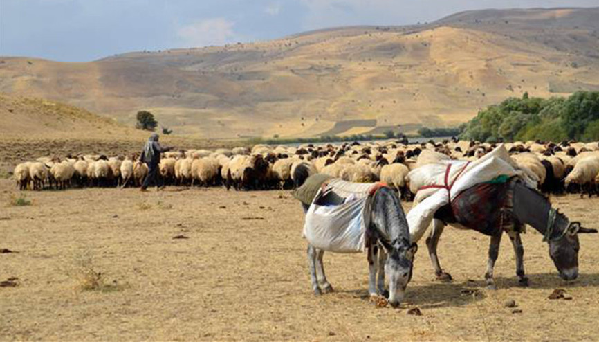 Göçerlerin zorlu dönüş yolcuğu